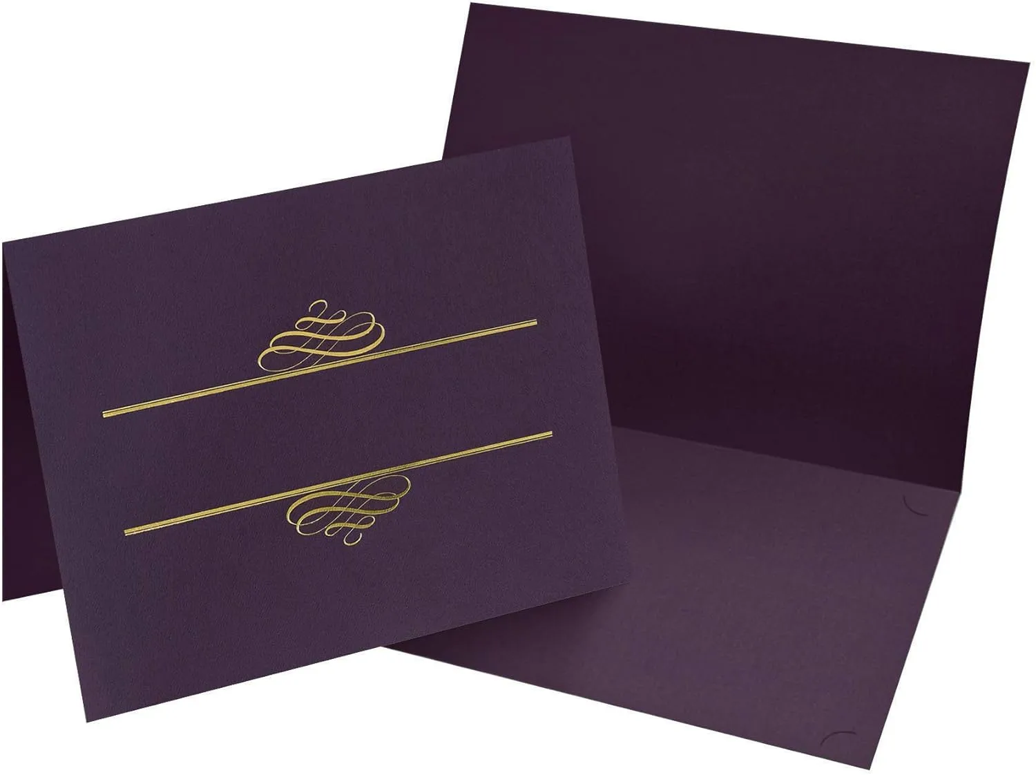 Great Papers! Plum Certificate Cover for Awards and Recognition, 12” x 9.375”, 250 GSM, Pack of 5 (903106)