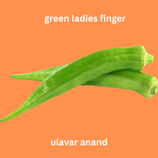 LADIES FINGER LONG GREEN | வெண்டை நீள் பச்சை