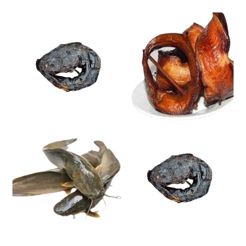 Catfish- smoked/dried/fresh