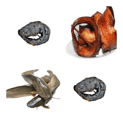 Catfish- smoked/dried/fresh