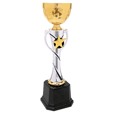 Metal Cup Trophy