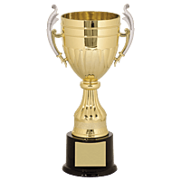 Plastic Cup Trophy