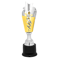 Star Metal Cup Trophy On Plastic Base