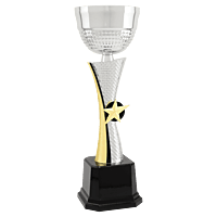 Textured Metal Cup Trophy
