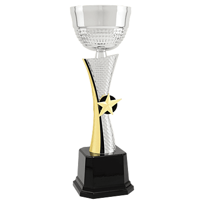 Textured Metal Cup Trophy