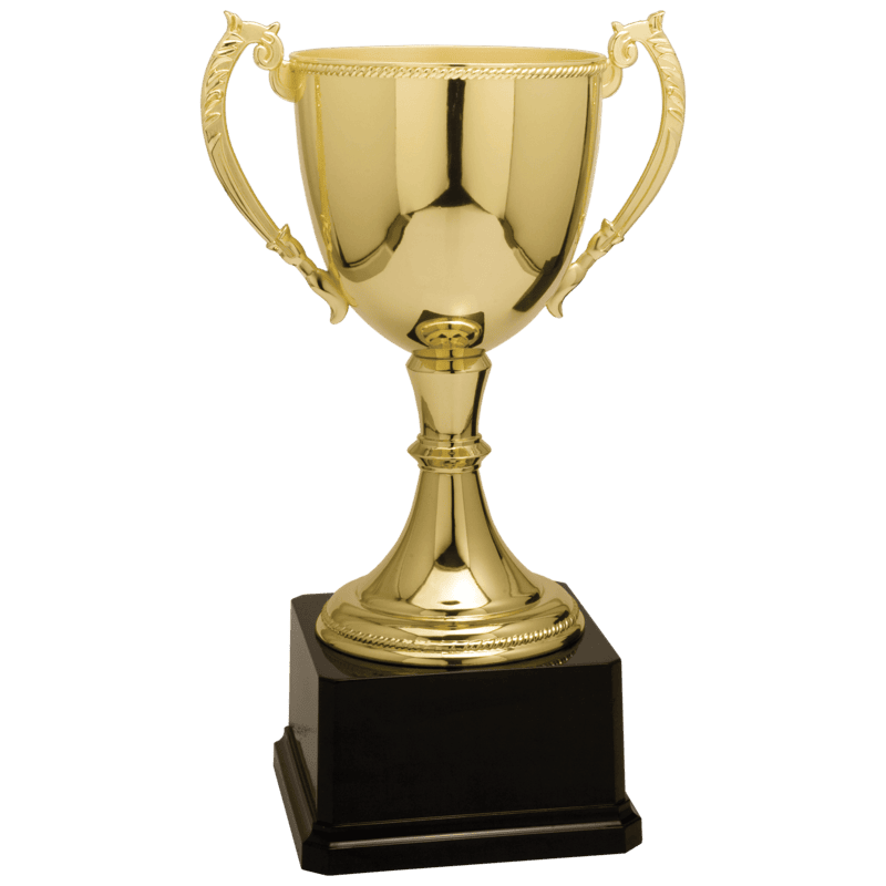 Zinc Cup Trophy