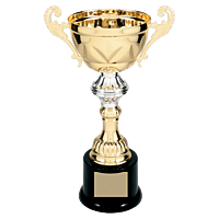 Gold Metal Chalice Cup Trophy on Plastic Base