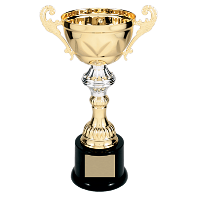 Gold Metal Chalice Cup Trophy on Plastic Base