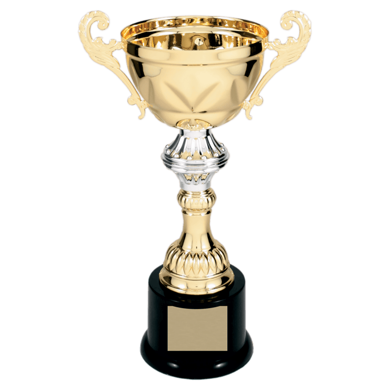 Gold Metal Chalice Cup Trophy on Plastic Base