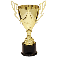 Gold Metal Flare Cup Trophy on Plastic Base