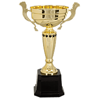 Gold Metal Narrow Cup Trophy on Plastic Base