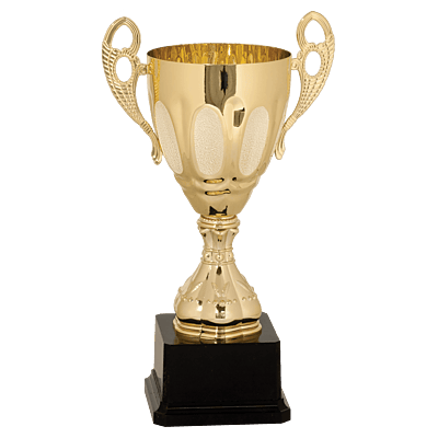 Gold Metal Ornate Cup Trophy on Plastic Base