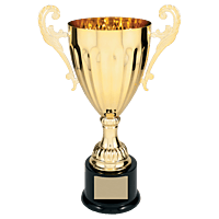 Gold Metal Winged Cup Trophy on Plastic Base