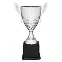 Metal Cup Trophy on Piano Finish Base