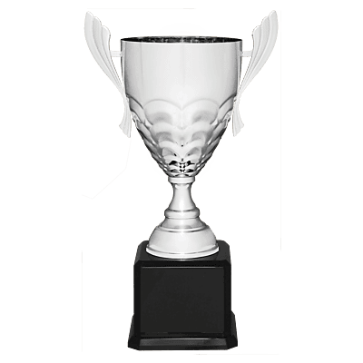 Metal Cup Trophy on Piano Finish Base