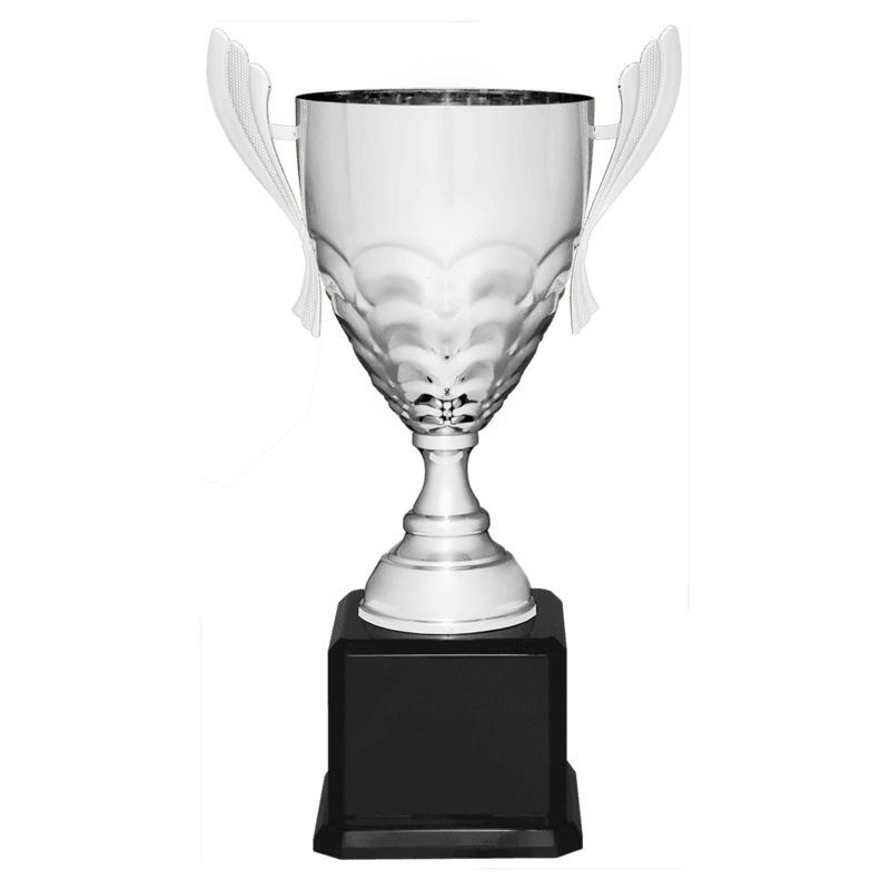 Metal Cup Trophy on Piano Finish Base