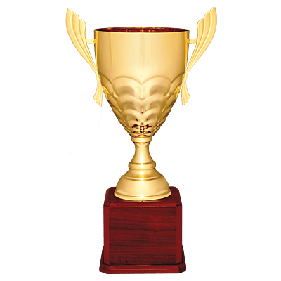 Metal Cup Trophy on Rosewood Piano Finish Base