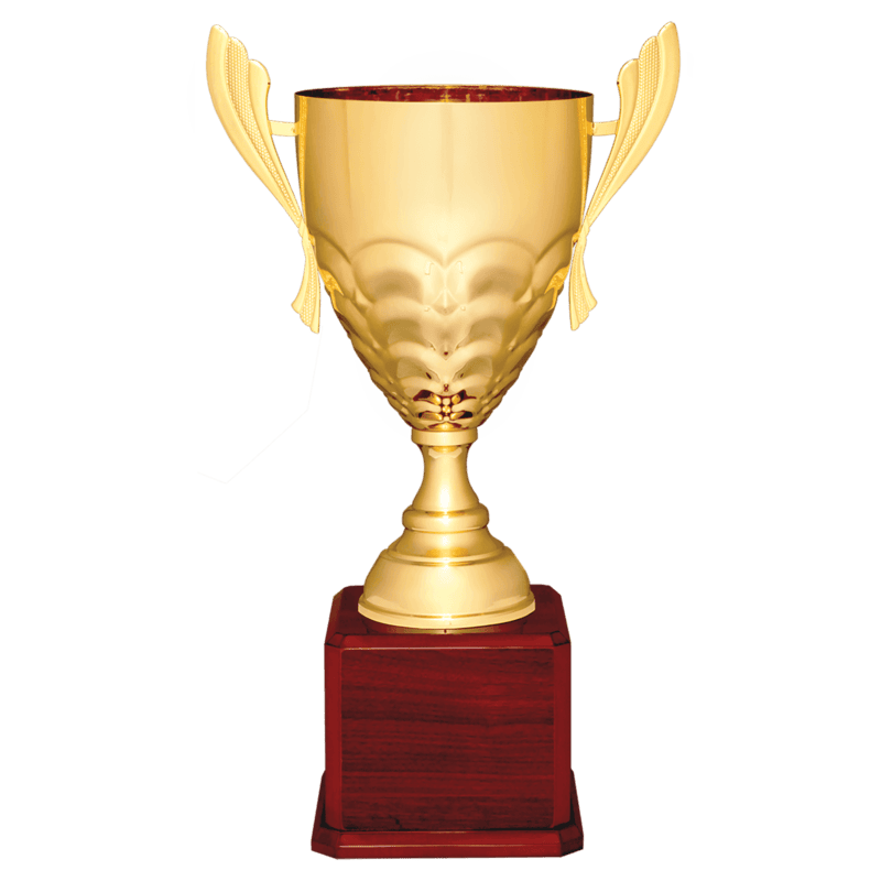 Metal Cup Trophy on Rosewood Piano Finish Base