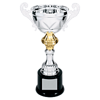 Silver Metal Chalice Cup Trophy on Plastic Base