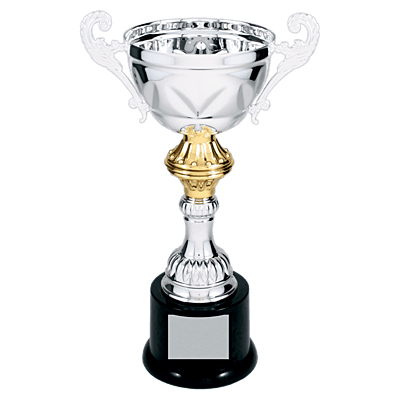Silver Metal Chalice Cup Trophy on Plastic Base
