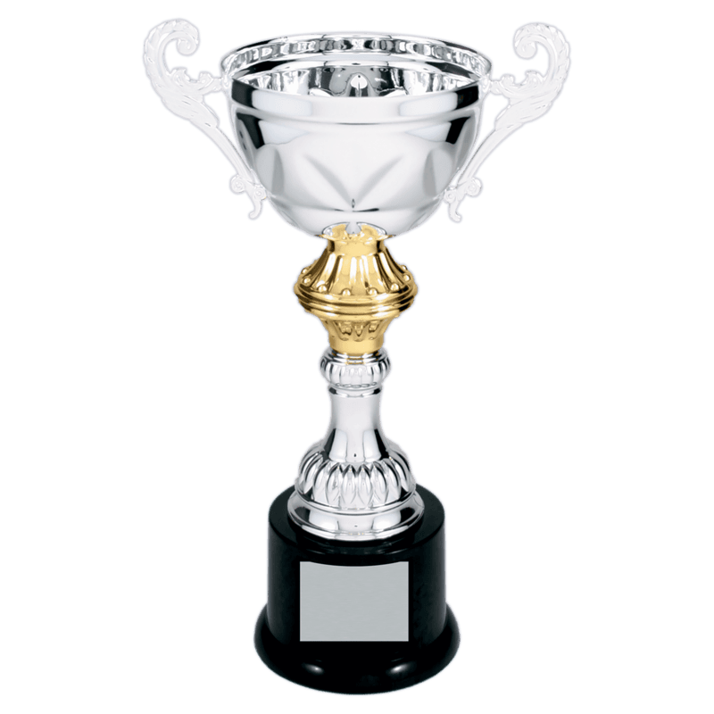 Silver Metal Chalice Cup Trophy on Plastic Base