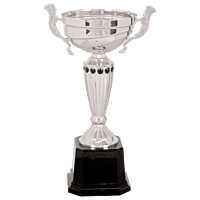 Silver Metal Cup Narrow Trophy on Plastic Base