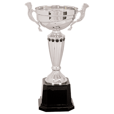 Silver Metal Cup Narrow Trophy on Plastic Base