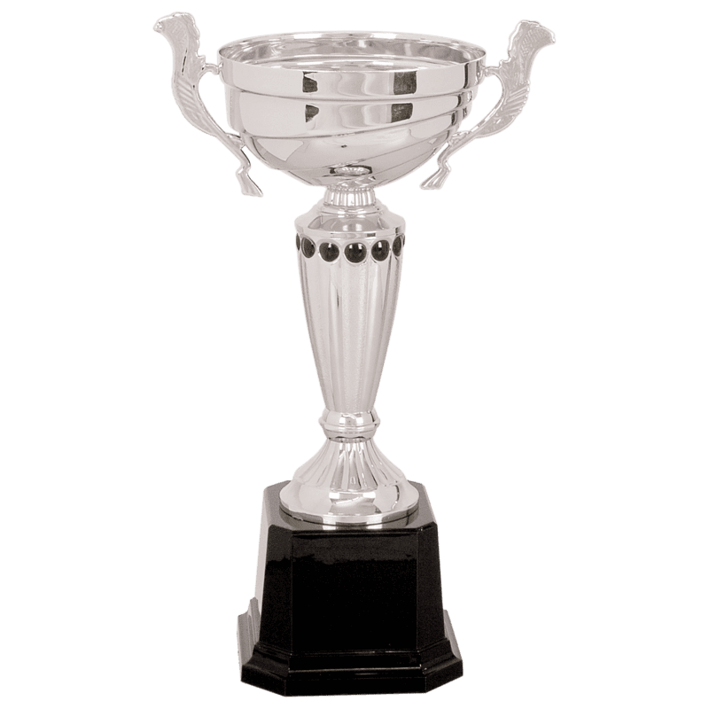 Silver Metal Cup Narrow Trophy on Plastic Base