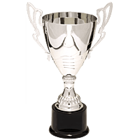 Silver Metal Flare Cup Trophy on Plastic Base