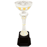Silver-Gold Metal Ring Cup Trophy on Plastic Base