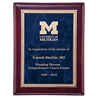 Sapphire/Gold Florentine Border LaserFX Plate/ Piano Finish Plaque