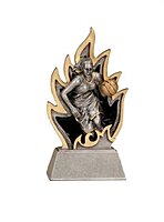 Ignite Resin Trophy