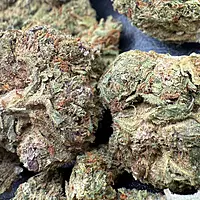 Girl Scout Cookies 2 Greenhouse Exotic