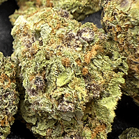 Girl Scout Cookies 2 Greenhouse Exotic