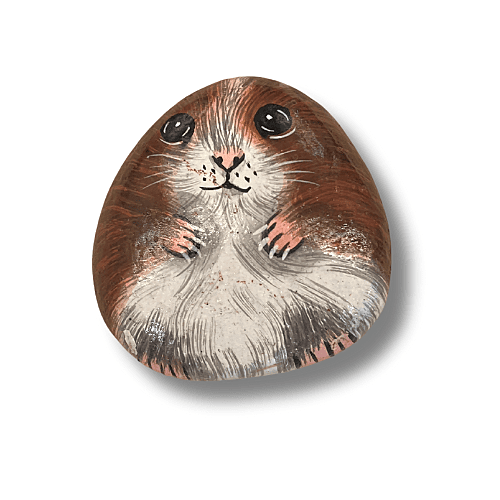 Animal Stones Animal Stones