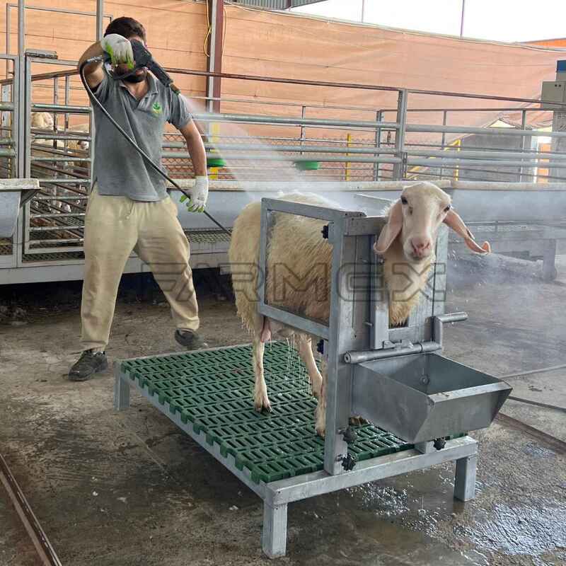 Headlock for Goat Sheep 1U with Base-Anti Rust Hot-Dip Galvanised