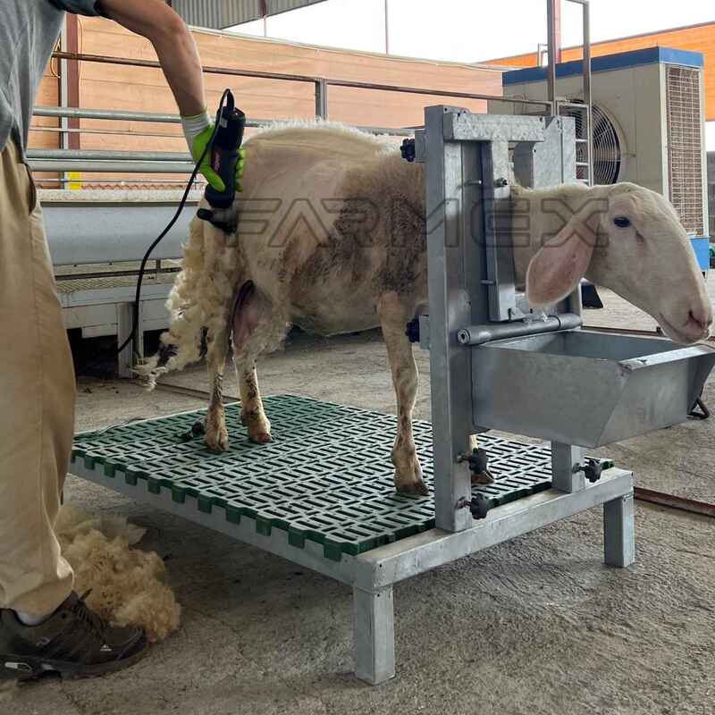 Headlock for Goat Sheep 1U with Base-Painted Metal Steel