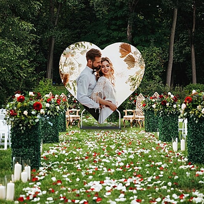 Heart-Shaped Backdrop