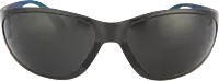 Pioneer Vision Spider Spectacle