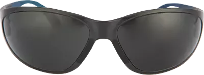 Pioneer Vision Spider Spectacle