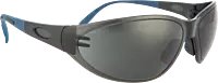 Pioneer Vision Spider Spectacle
