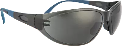 Pioneer Vision Spider Spectacle