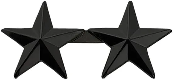HERO'S PRIDE 2-Star Rank Insignia Five-Pointed Star Pin