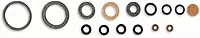 Holley 37-1543 Fast Kit Carburetor Rebuild Kit