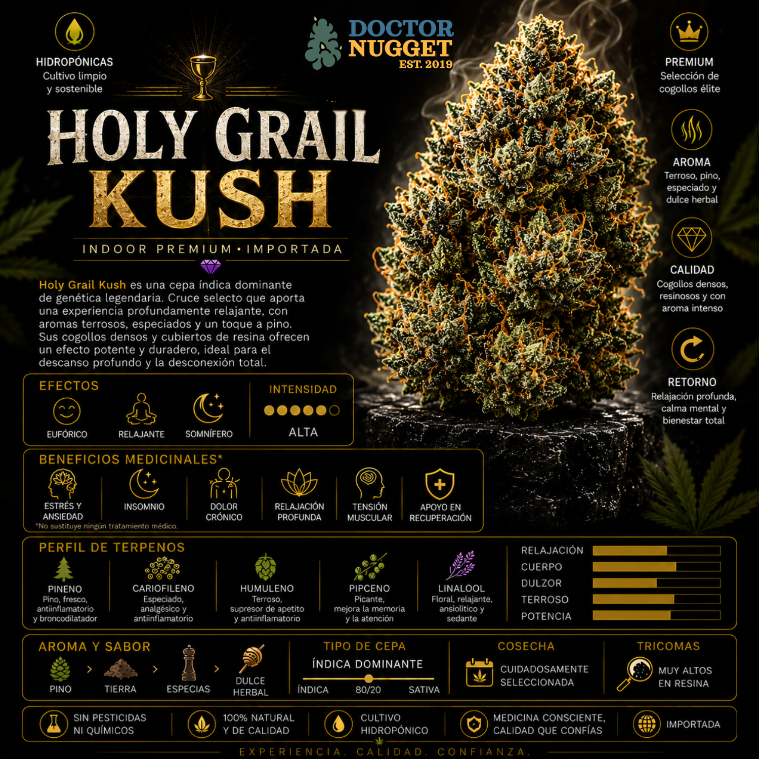 Dr. Nugget Holy Grail Kush flor indoor premium importada
