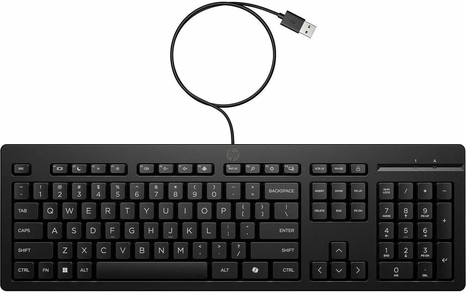HP 125 Wired Keyboard - Cable Connectivity - USB Type A Interface - Copilot Hot Key(s) - Windows 11, Windows 10 - PC - Recycled Plastic - Plunger Keyswitch - Black