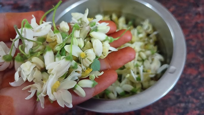 Moringa flower 500 G | முருங்கை பூ 500 G