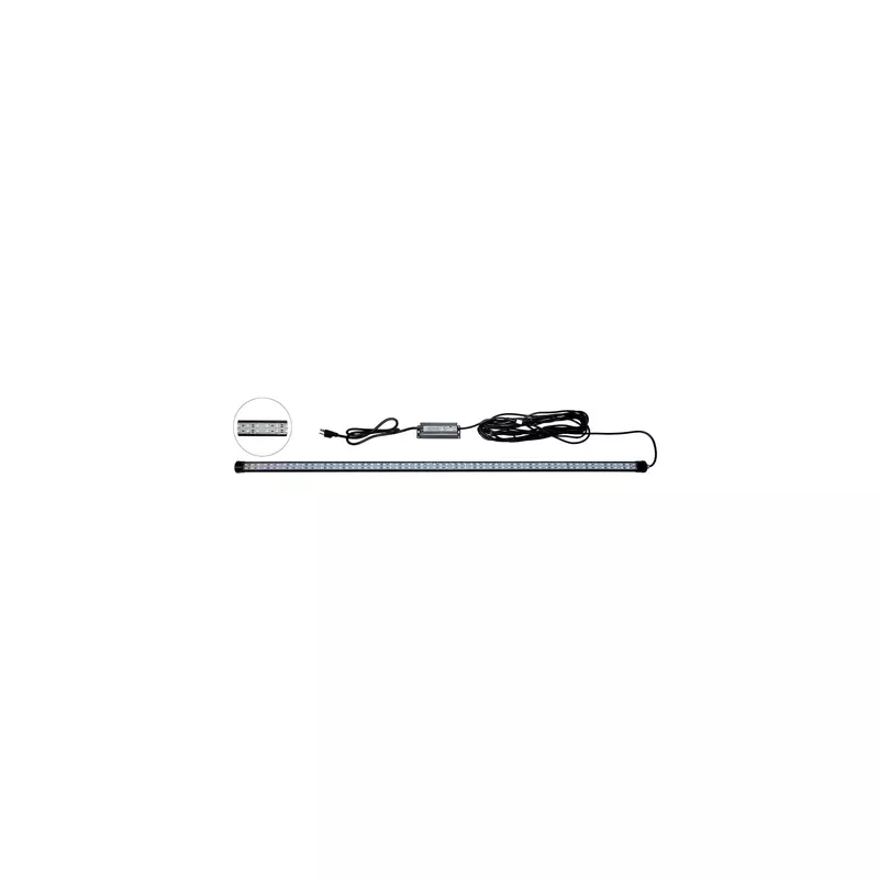 LED Dock Master Blue - Dock Mounted Fishing Light, 3,000 Lumen Output, 20-ft Waterproof Cord