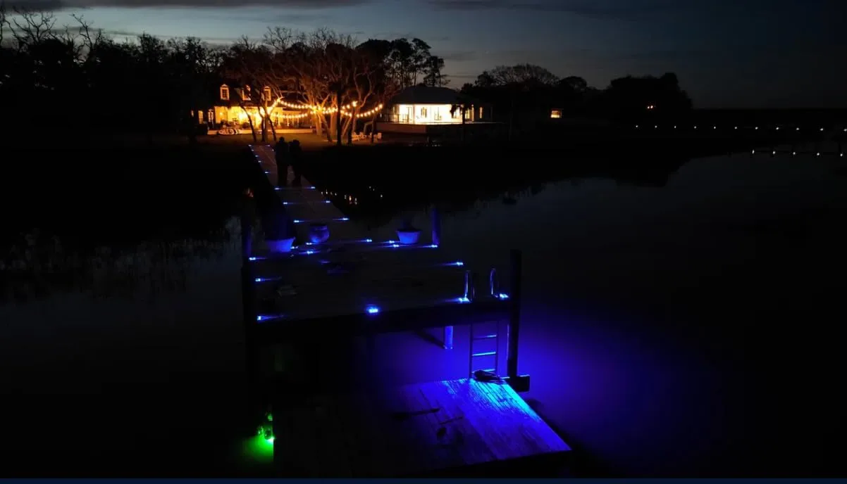 LED Dock Master Blue - Dock Mounted Fishing Light, 3,000 Lumen Output, 20-ft Waterproof Cord