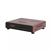 Spider Receiver T700 gold |Spider